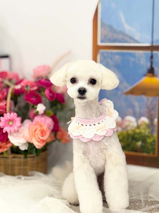 멍스터치