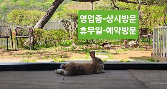 라벤더하우스 · 네이버 지도·플레이스 2