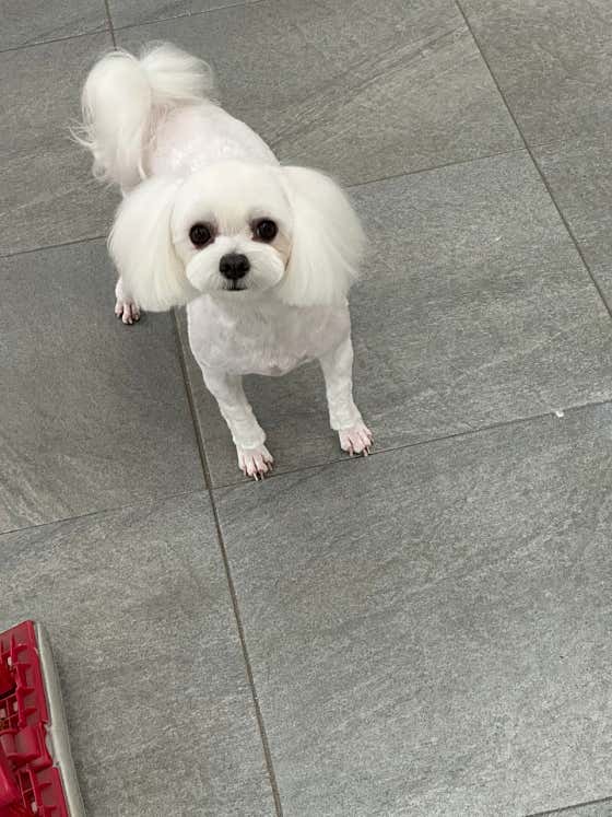 복희쌀롱 · 네이버 지도·플레이스 7