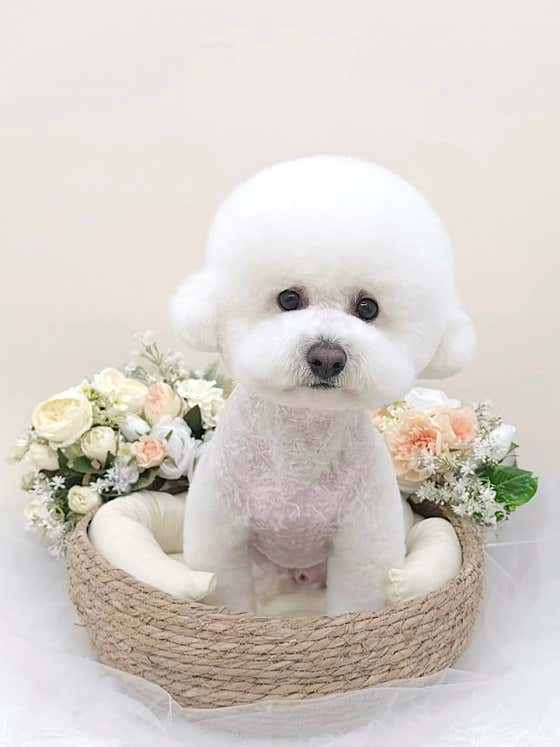 땅땅콩콩 · 네이버 지도·플레이스 3