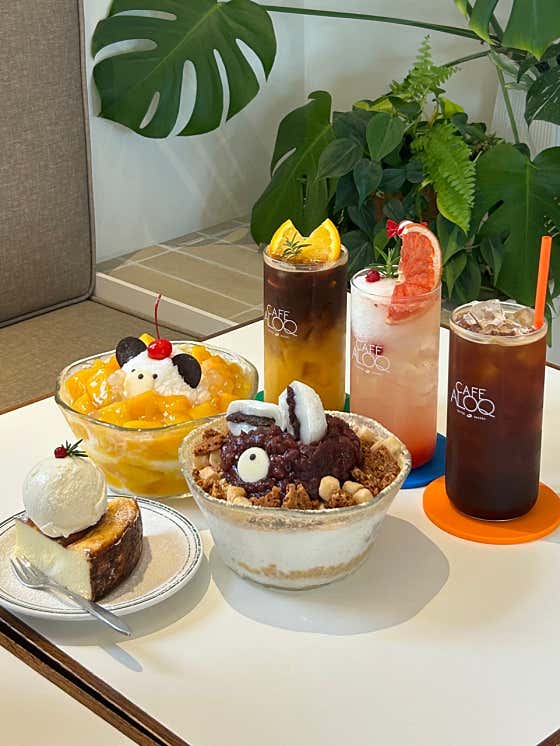 카페알록
