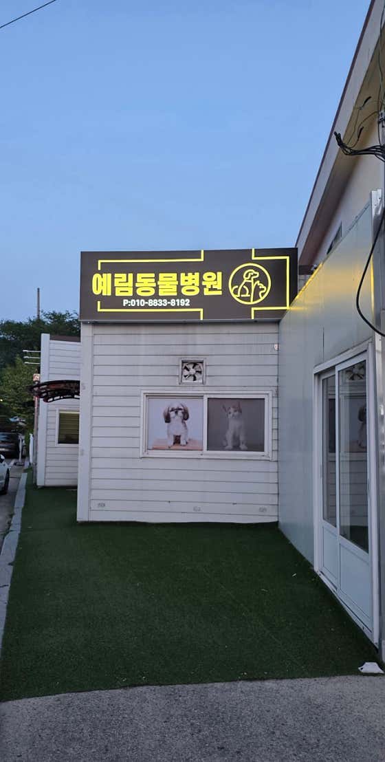 예림동물병원