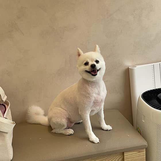 뿌꾸까꾸 · 네이버 지도·플레이스 8
