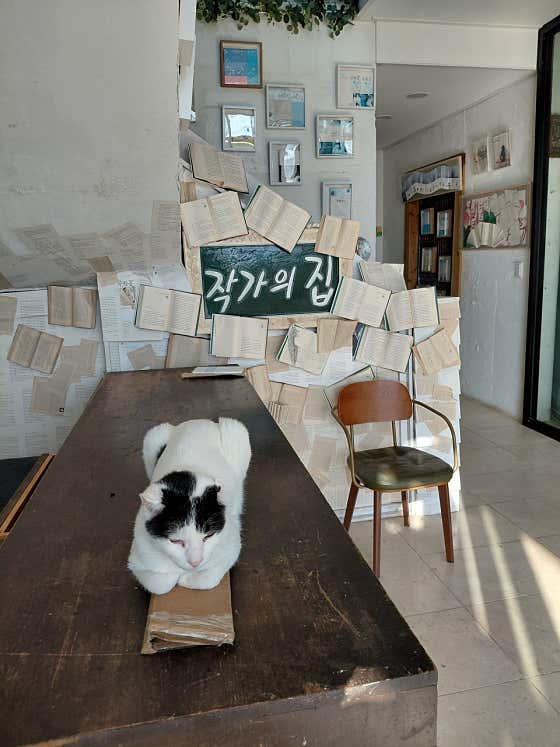 도예가의 차와커피
