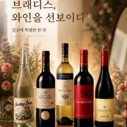 와인 메뉴 사진(네이버)