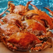 계절메뉴:소금활꽃게찜(중)1kg 메뉴 사진(네이버)
