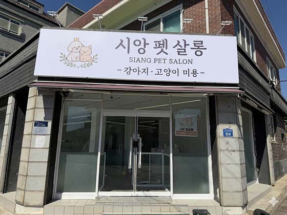 시앙펫살롱 · 네이버 지도·플레이스 2