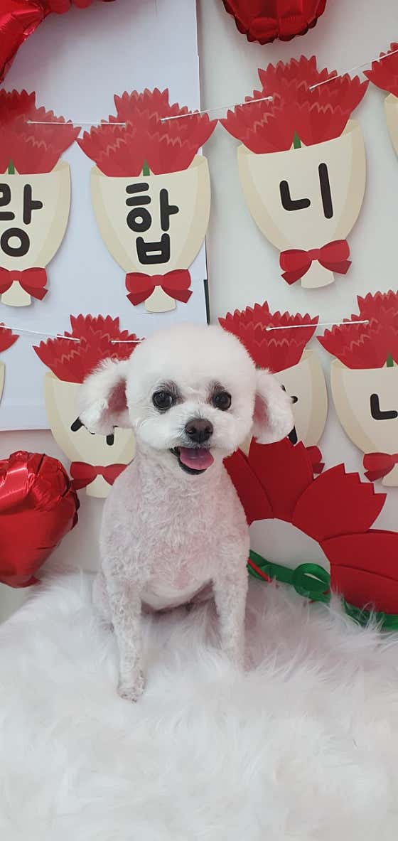 멍 끌레르 · 네이버 지도·플레이스 10