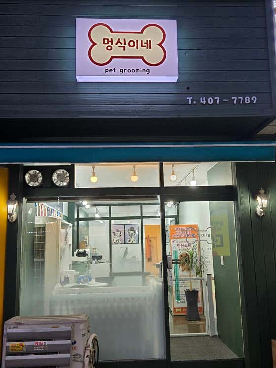 멍식이네