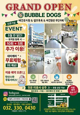 버블독스 부평공원점 대표이미지