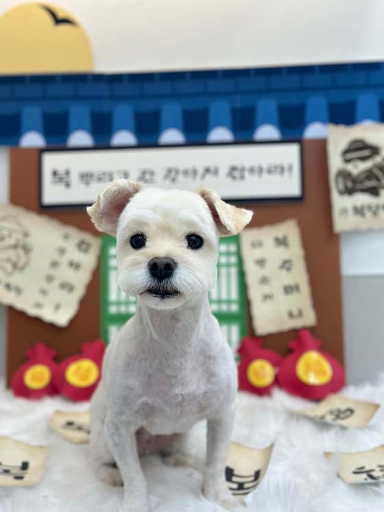 땡큐펫살롱 · 네이버 지도·플레이스 9