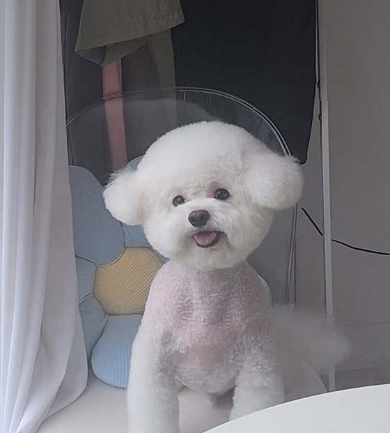 별찌몽 · 네이버 지도·플레이스 2