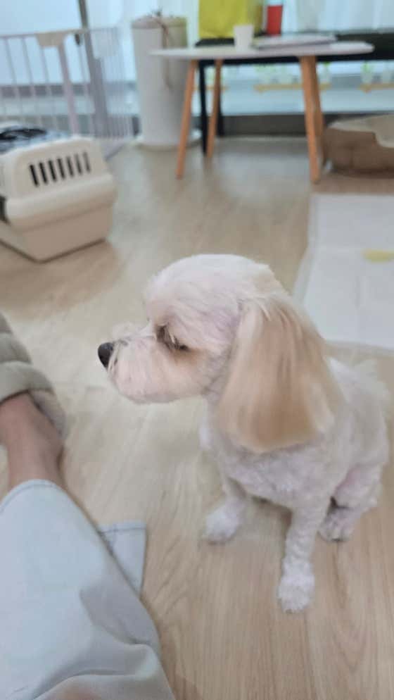 개멋짐 · 네이버 지도·플레이스 4