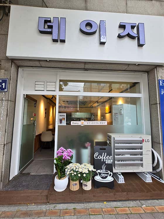 데이지 · 네이버 지도·플레이스 2