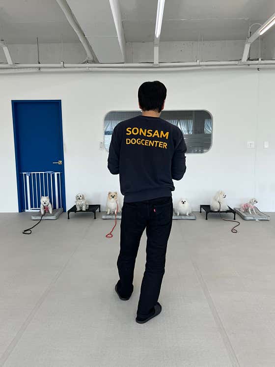손선생반려견센터 대표이미지