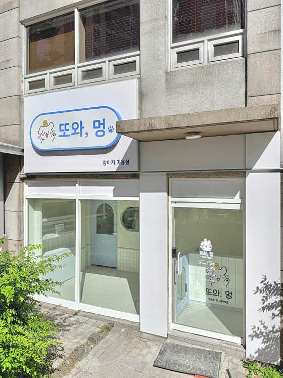 또와, 멍 · 네이버 지도·플레이스 2