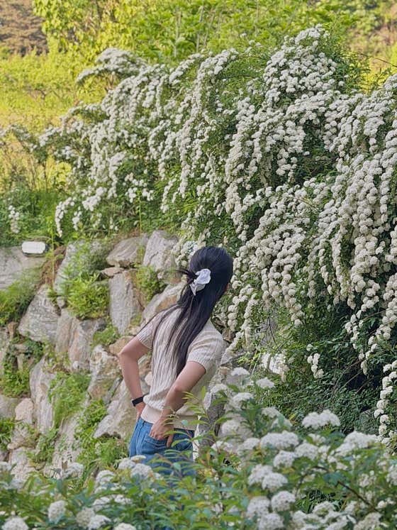 구루미 · 네이버 지도·플레이스 9