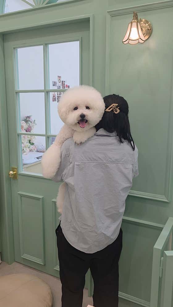 예쁘개해줄개 · 네이버 지도·플레이스 2
