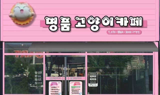 명품고양이카페 대표 사진