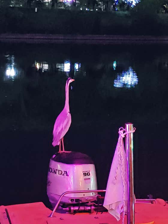 베이스캠프 보트장 · 네이버 지도·플레이스 5