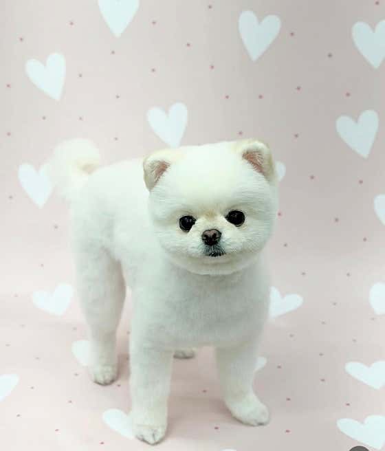 히피살롱