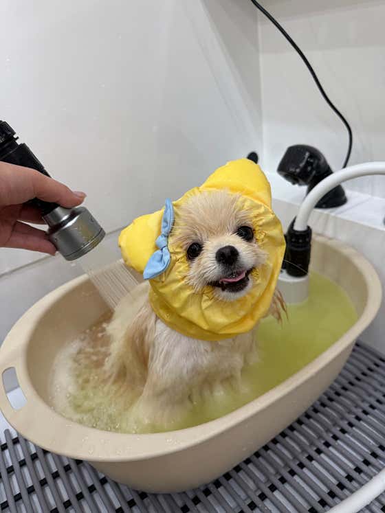 에브리멍스 · 네이버 지도·플레이스 7