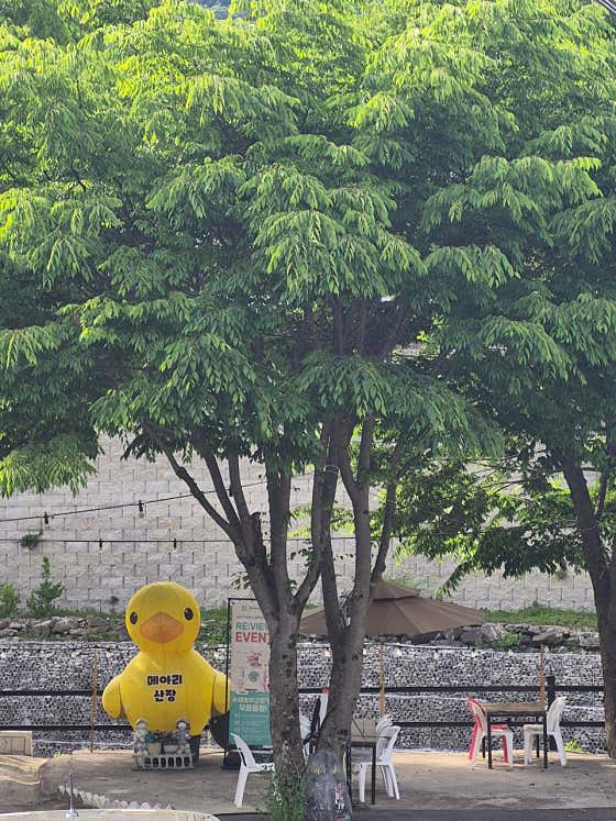 메아리산장 · 네이버 지도·플레이스 2