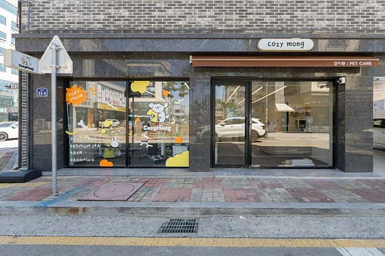 코지몽 반려견 미용실 · 네이버 지도·플레이스 3