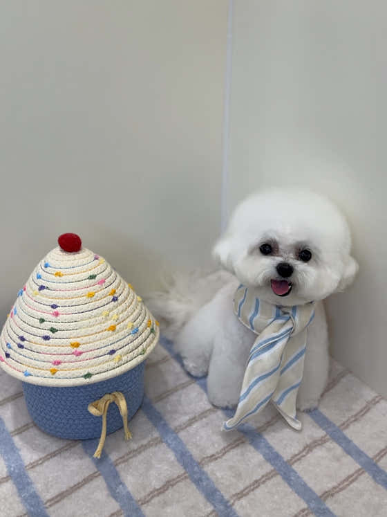 베비까까 · 네이버 지도·플레이스 8