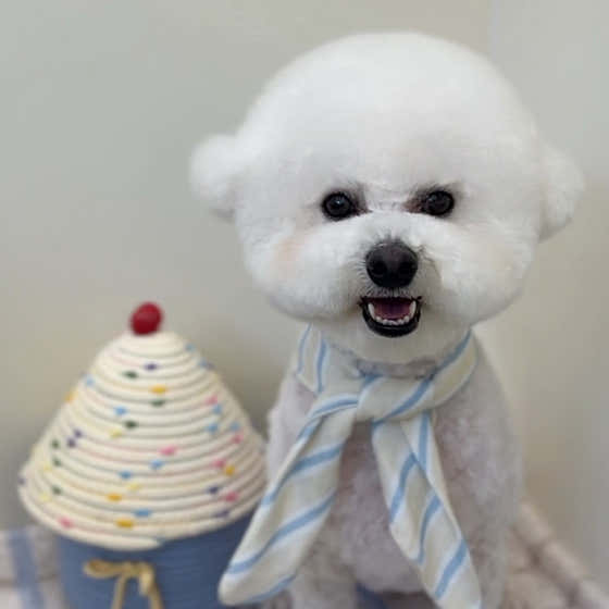 베비까까