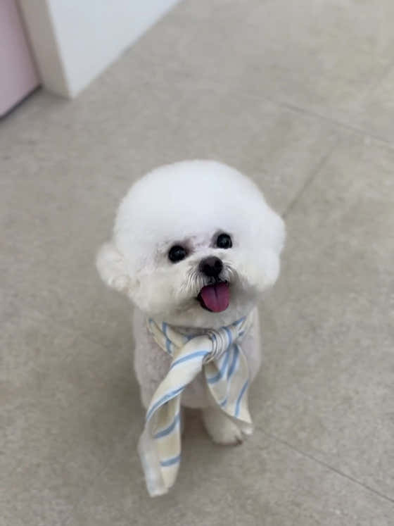 베비까까 · 네이버 지도·플레이스 7