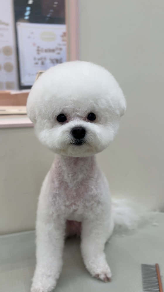 베비까까 · 네이버 지도·플레이스 9