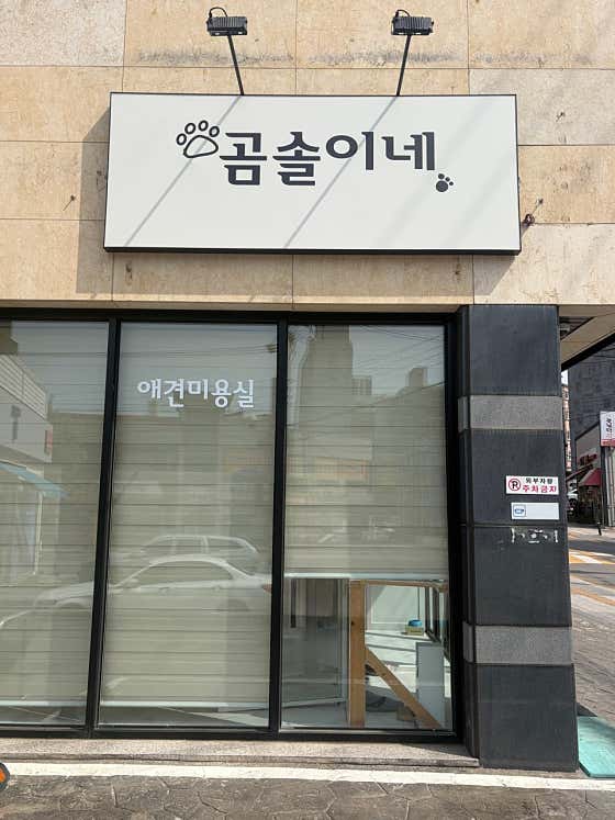 곰솔이네