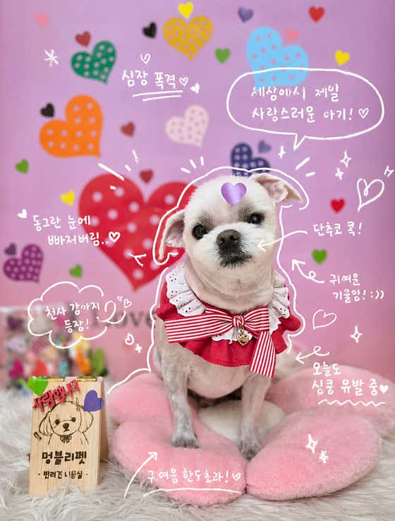 멍블리펫