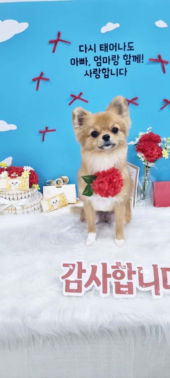 더예뻐지개