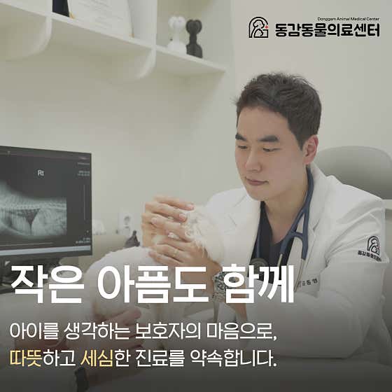 동감동물의료센터 대표이미지