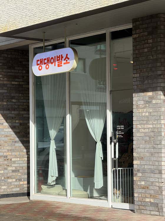 댕댕이발소