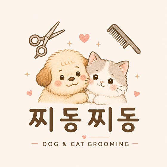 찌동찌동