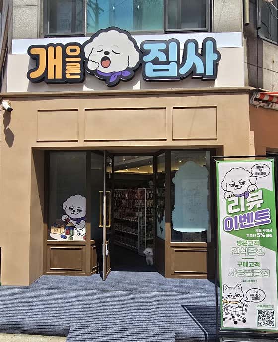 개으른집사