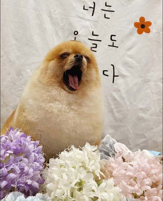 곰솔이네 · 네이버 지도·플레이스 4