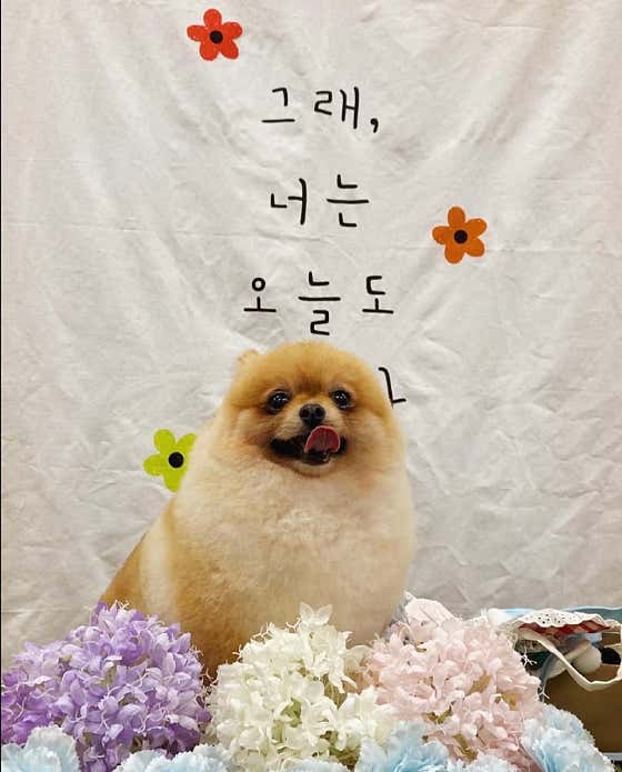곰솔이네 · 네이버 지도·플레이스 3