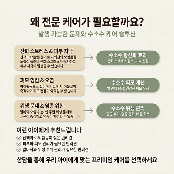 펫허밍 · 네이버 지도·플레이스 2