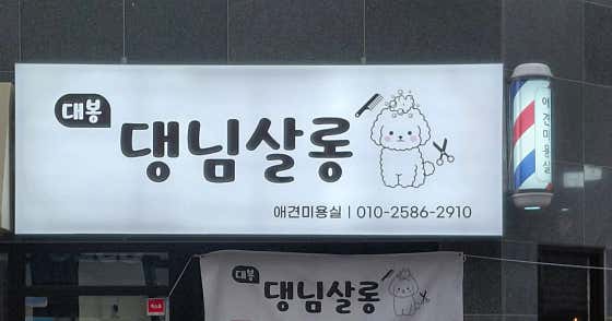 댕님살롱 · 네이버 지도·플레이스 3