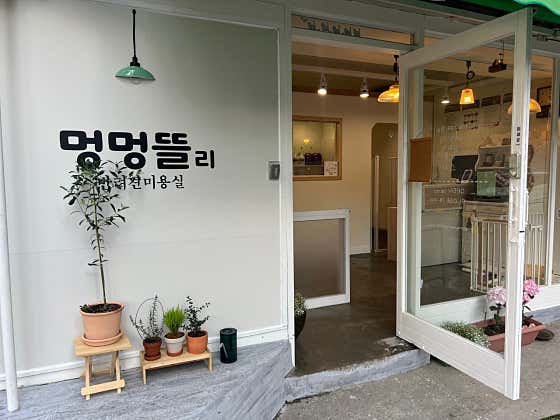 멍멍뜰리 반려견미용실