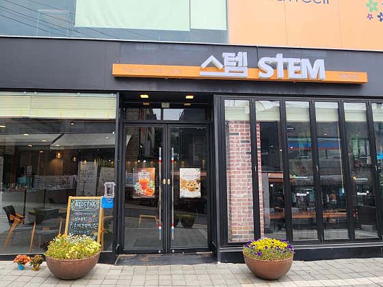 네이처셀 카페 스템 청계산점