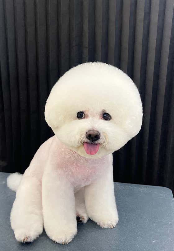 르시앙 수성하이츠점 · 네이버 지도·플레이스 1