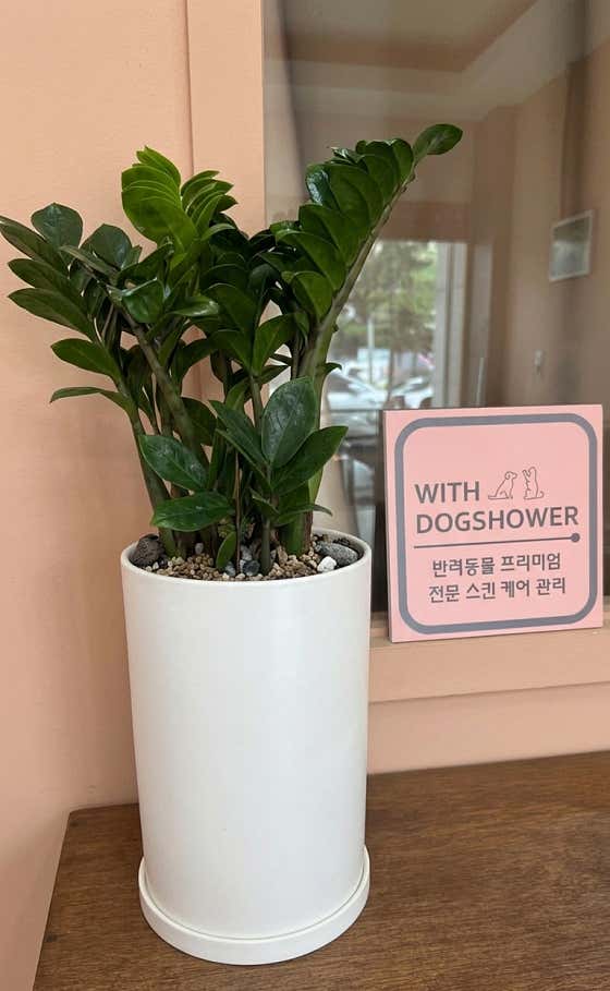 귀여운댕 · 네이버 지도·플레이스 2