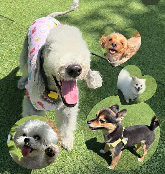 오올치유치원