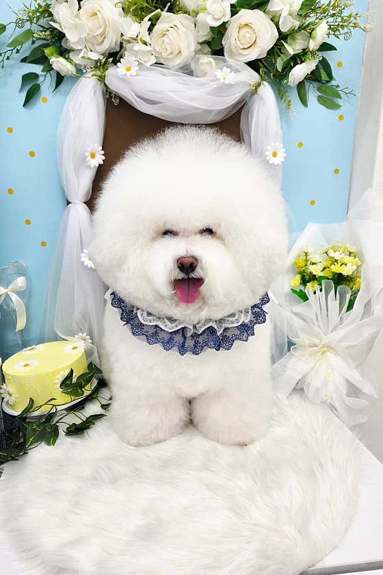 몽띠에 · 네이버 지도·플레이스 2
