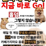 하이잭홀덤 가게 사진 3